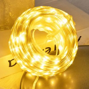 PVC STRING LIGHTS -1m / 皮线灯-1米