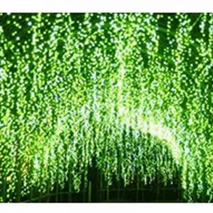Ice bar String 冰条灯下垂